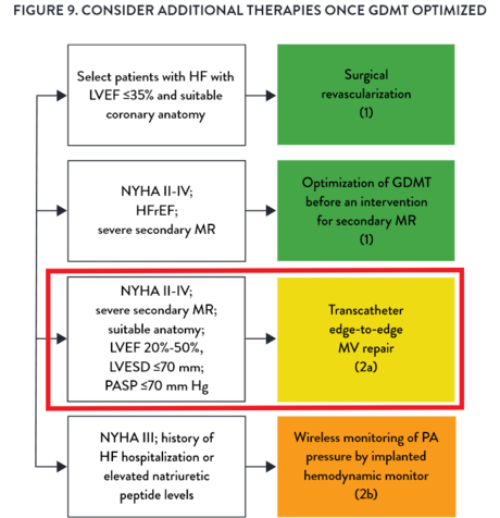 2022 AHA/ACC/HFSA Heart Failure Guideline